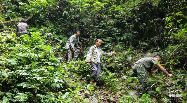 文山廣南:838.6萬畝森林筑起綠色生態(tài)安全屏障