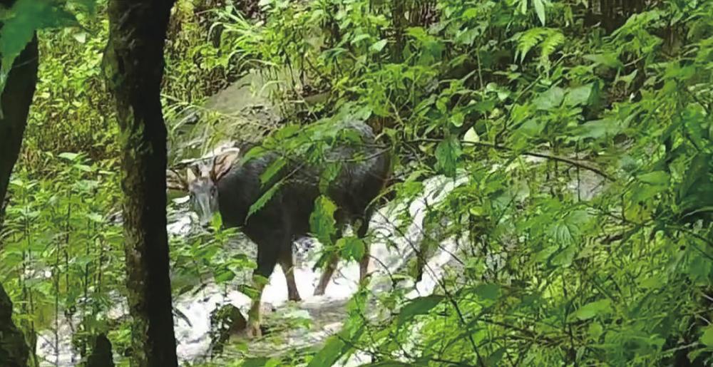 微信圖片_20220831091246