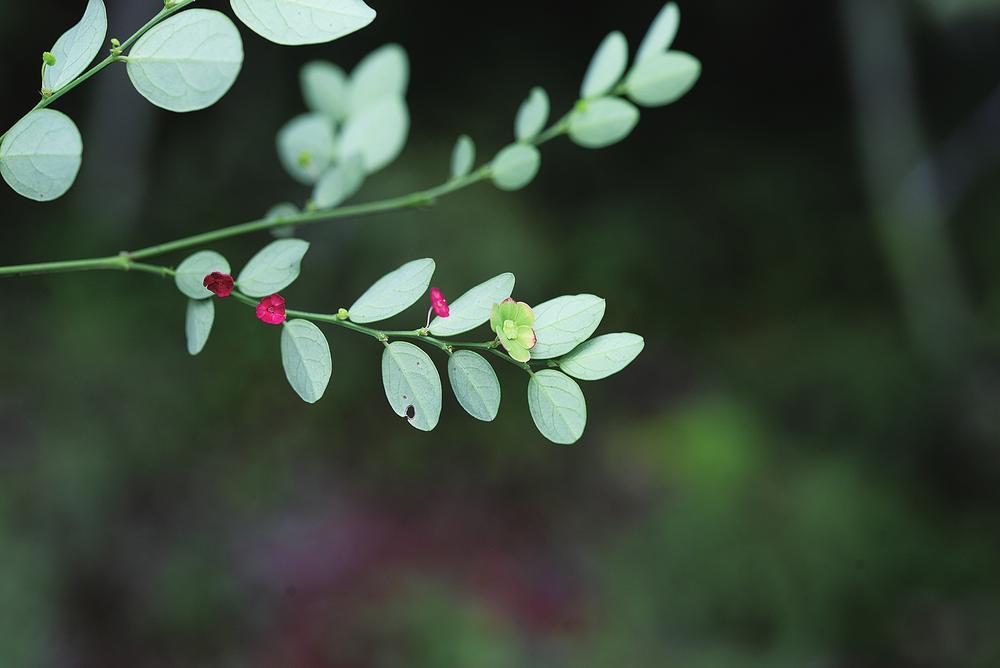 微信圖片_20220831145752 微信圖片_20220831145752