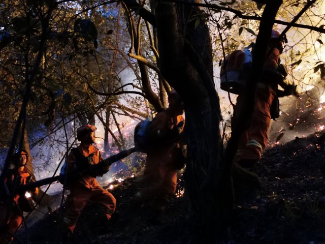 安寧青龍“5·09”?；髽I(yè)保衛(wèi)戰(zhàn)（云南省森林消防總隊供圖） (3).jpg