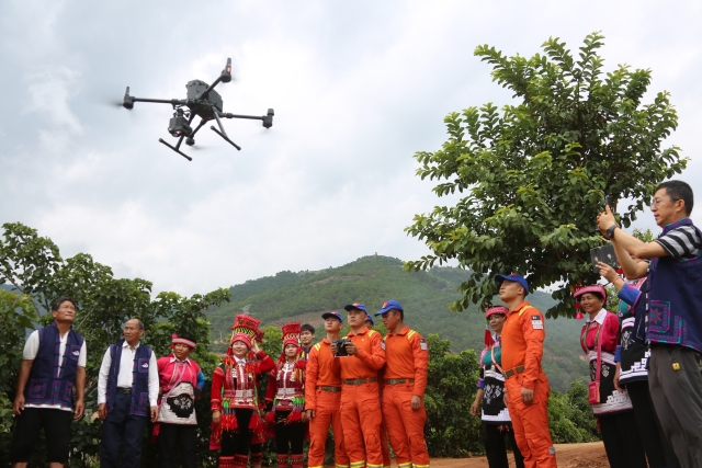 亞洲象（供圖）