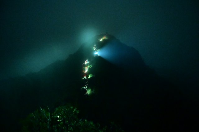 哀牢山搜救 （云南省森林消防總隊供圖） (6).JPG