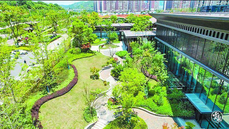 binary_middle (2).jpg binary_middle (2).jpg