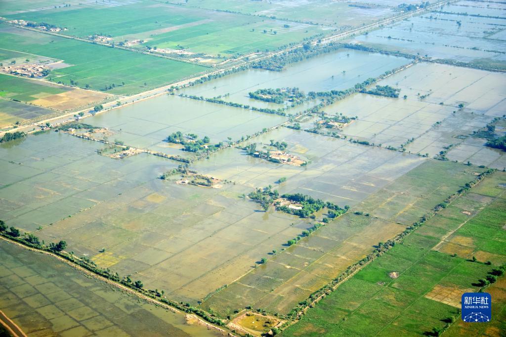 1128974580_16622538986161n