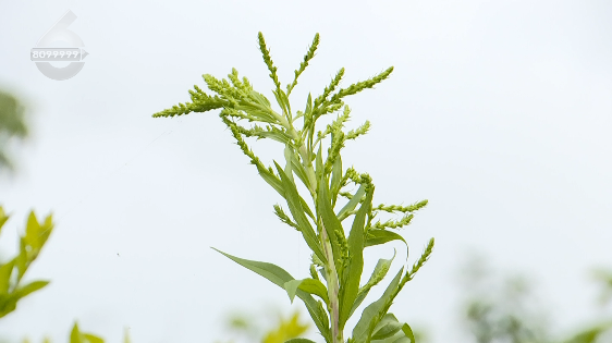 微信圖片_20220905154729