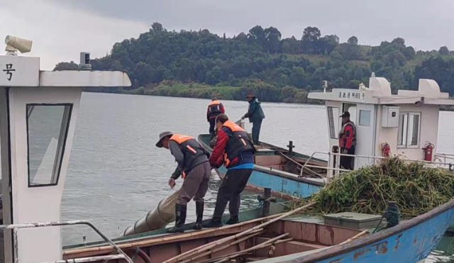 昆明西山區(qū)在滇池外海重點水域展開專項整治（供圖）
