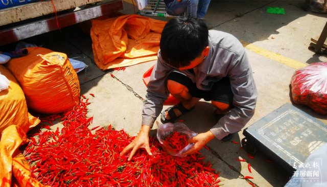 臨時(shí)交易市場(chǎng)已啟用( 春城晚報(bào)-開(kāi)屏新聞?dòng)浾?林舒佳 李強(qiáng) 攝)