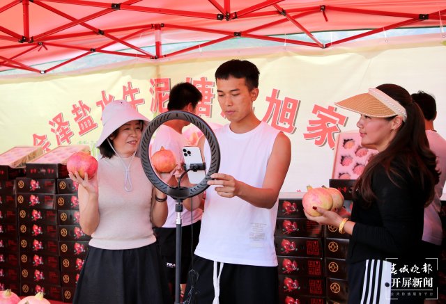 云南會澤萬畝鹽水石榴喜獲豐收 (7).jpg