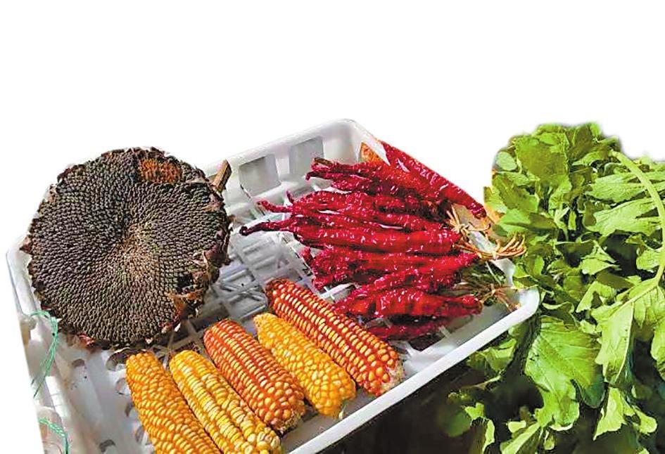 微信圖片_20220917093957