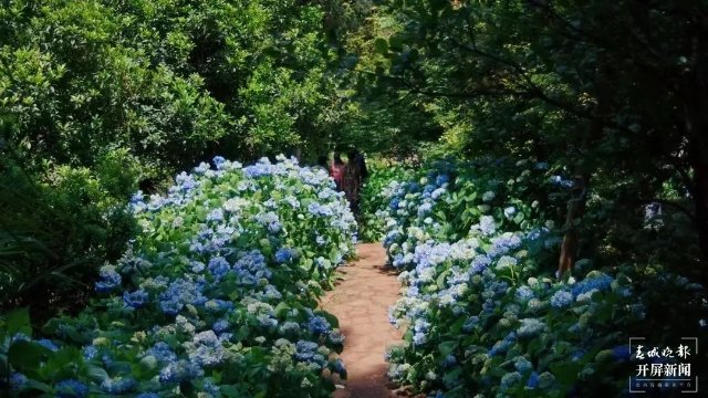 昆明市郊野公園劃轉移交五華區(qū)管理