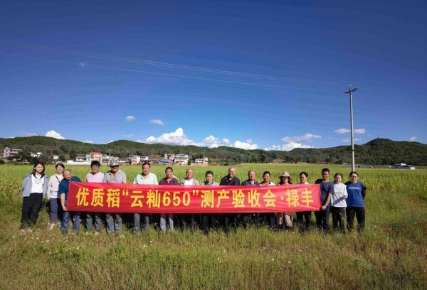 code_ynrb83e9beb5-295f-4d24-b6e5-142da923d30e