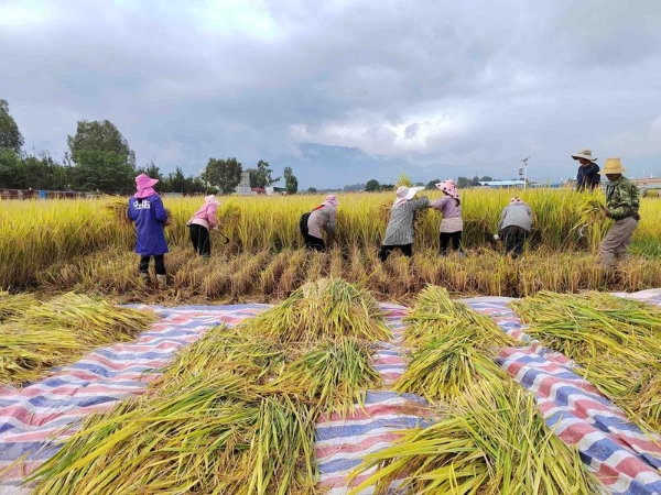 code_ynrb676c1e06-04ab-4803-95f9-128acc17dd4d