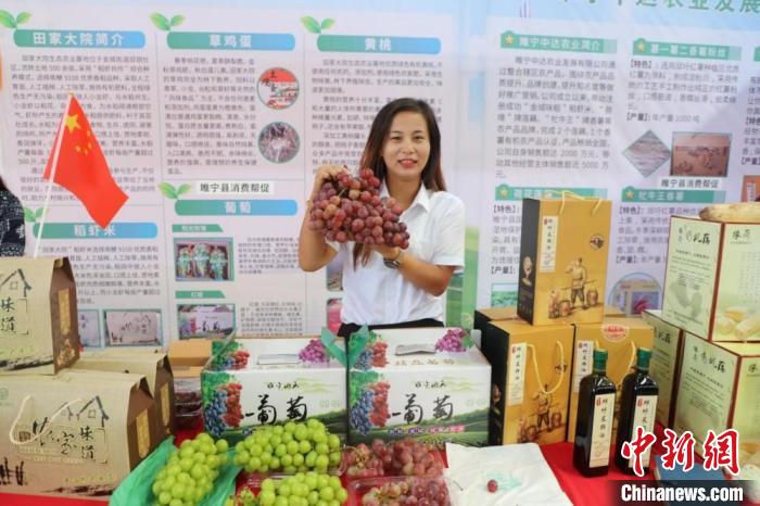 在金城街道展臺(tái)，種植戶展示一串葡萄，“豐收啦”！　顧士剛 攝