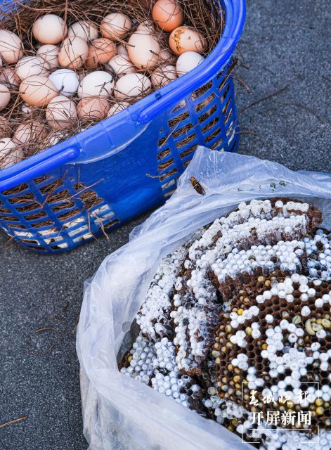 德宏菜市場(chǎng)（開屏新聞?dòng)浾?馬楠 通訊員 胡佩靈 楊曉玲 攝）