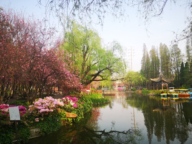 昆明市西華公園移交西山區(qū)管理(供圖)