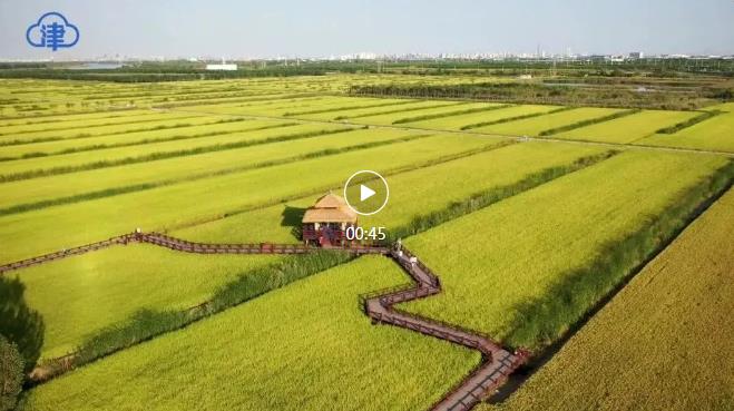 微信圖片_20220924142406