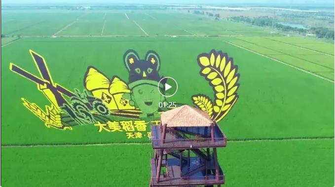 微信圖片_20220924142508