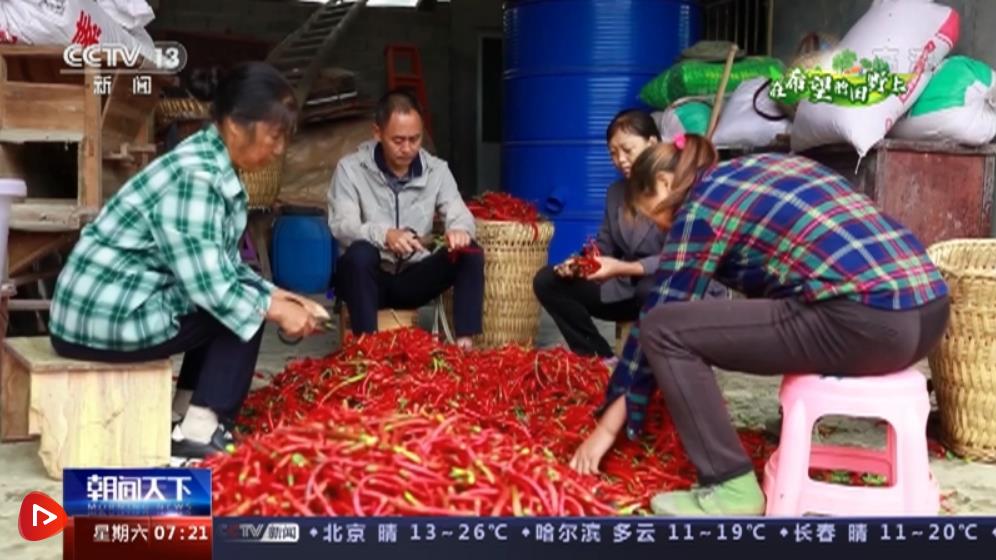 微信圖片_20220924165908 微信圖片_20220924165908