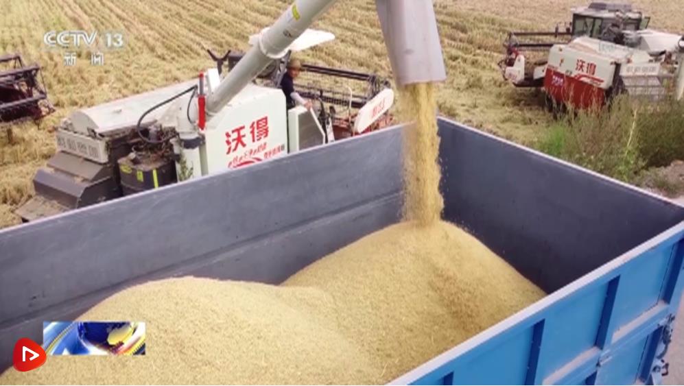 微信圖片_20220924171157 微信圖片_20220924171157