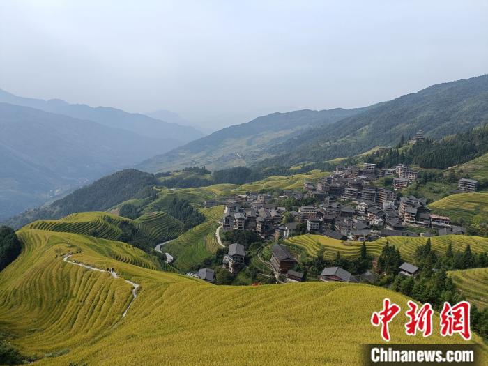 桂林市龍勝各族自治縣龍脊梯田風光。 左雨晴 攝