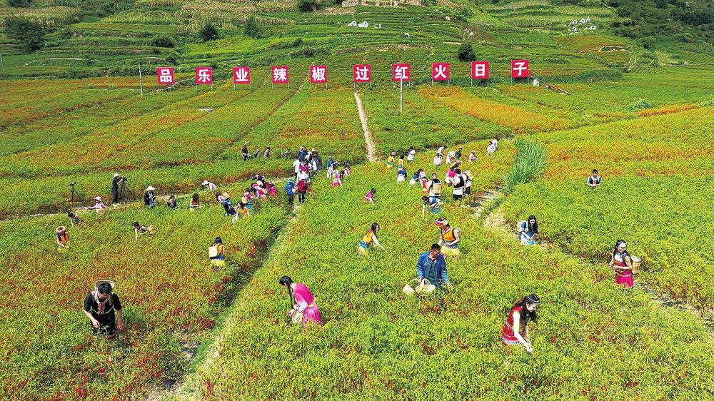 微信圖片_20220926101517