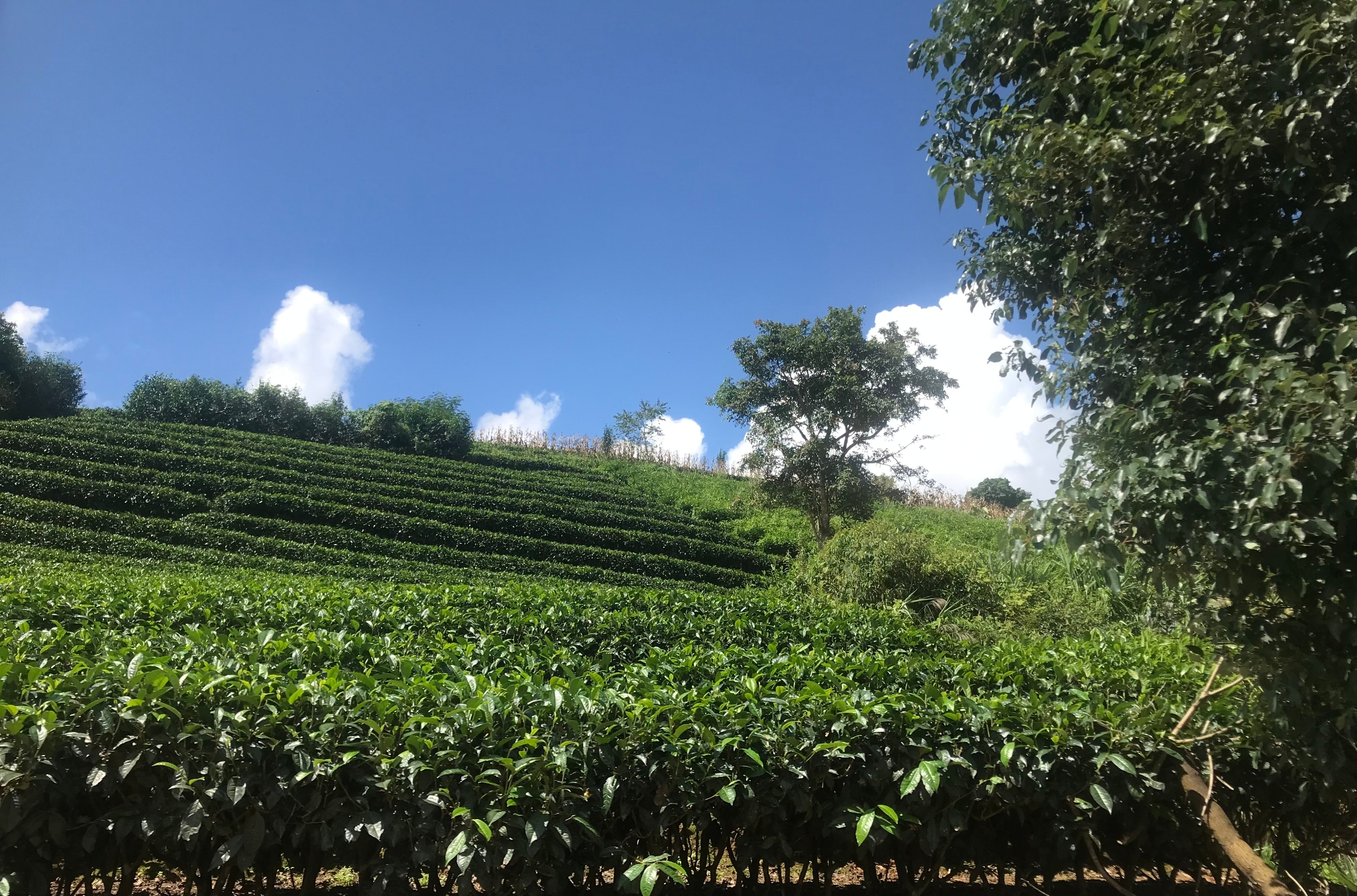 微信圖片_20220927110835