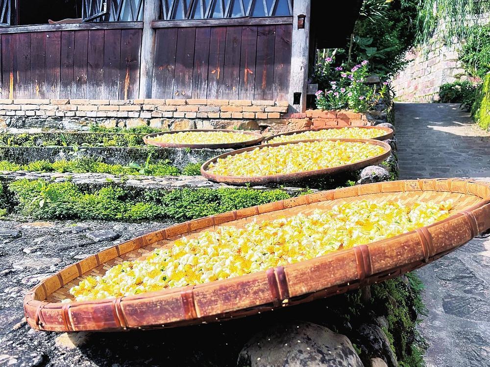 微信圖片_20220927122433 微信圖片_20220927122433