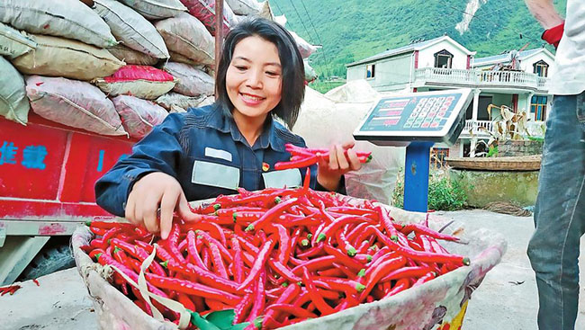 302a0e0b-abca-401a-accd-82e420eca49e 302a0e0b-abca-401a-accd-82e420eca49e