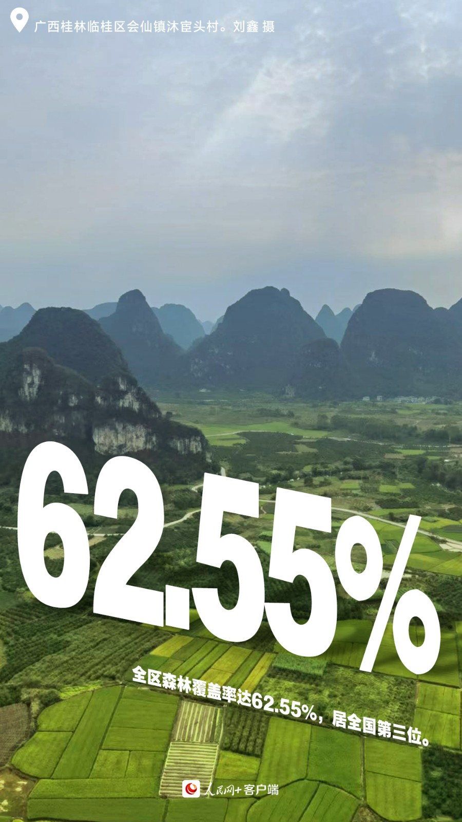 01森林覆蓋率.jpg