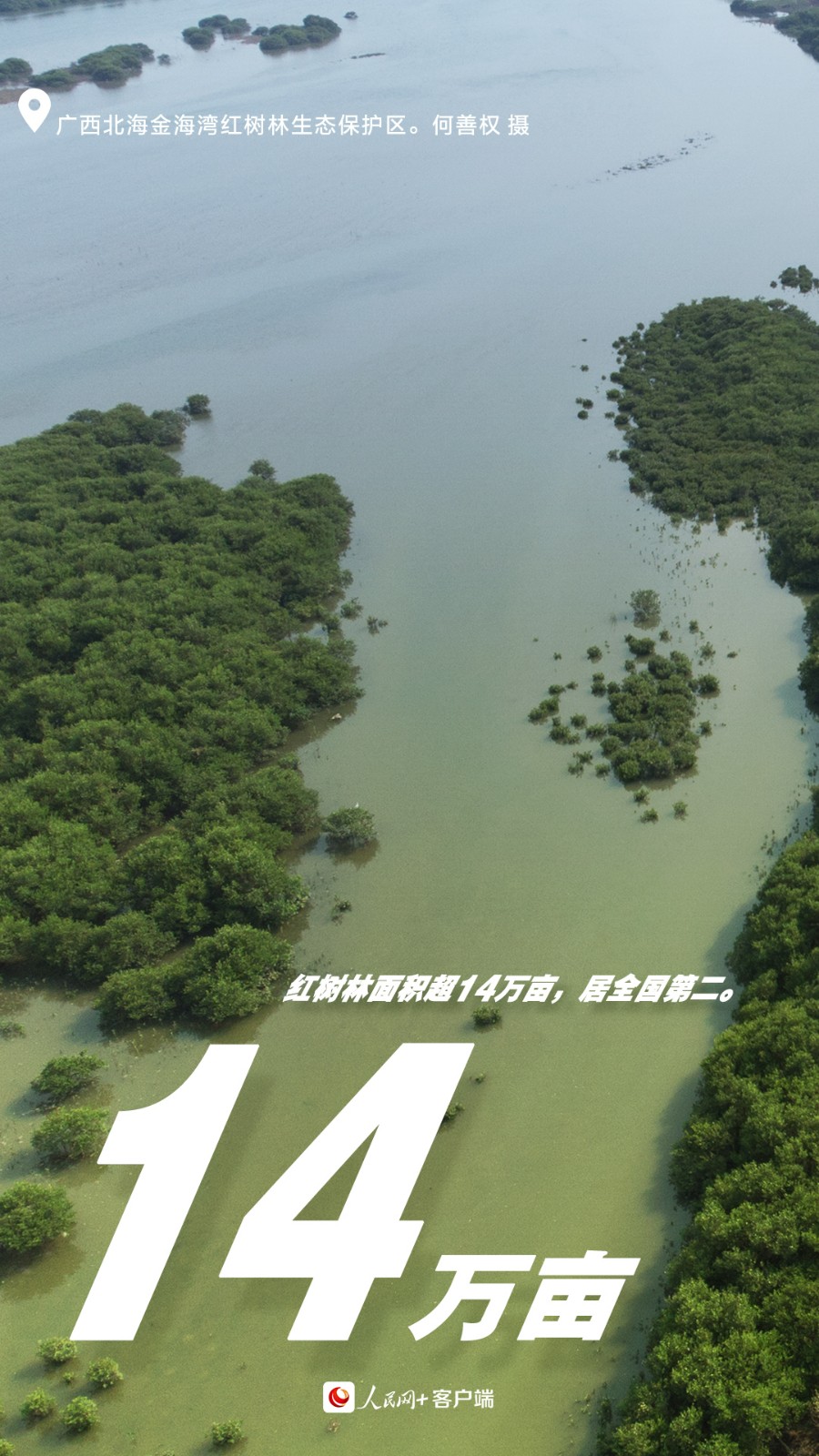 02紅樹林面積.jpg