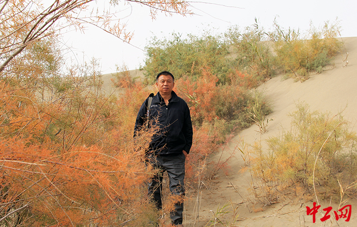 穿行在紅柳林中開始一天的征程