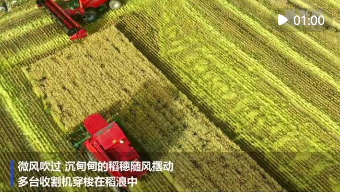 QQ截圖20221004101333