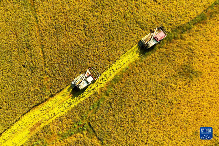 【光明網(wǎng)評】鄉(xiāng)村游，讓國慶黃金周更有活力魅力