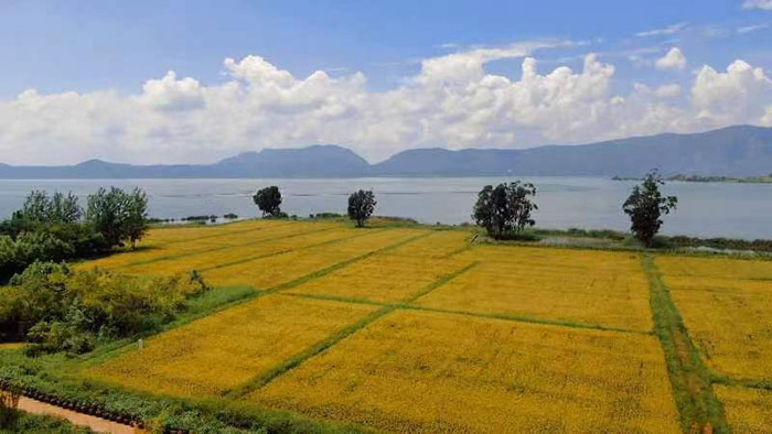 微信圖片_20221007111518