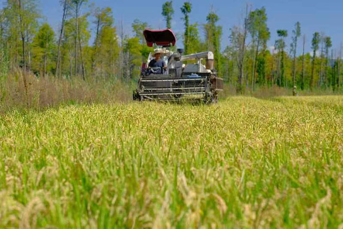 微信圖片_20221007111516