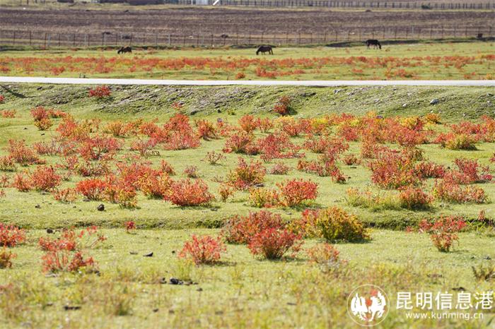 82caa18a5a3d9002ebe793dd0bd2b64