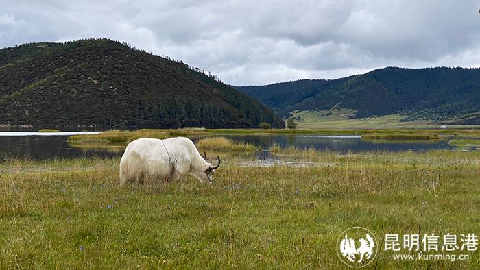 7365fa63a8bdb98a8848fb89ece06b4