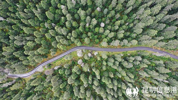 c5057facfbadc185faef496925b89ec