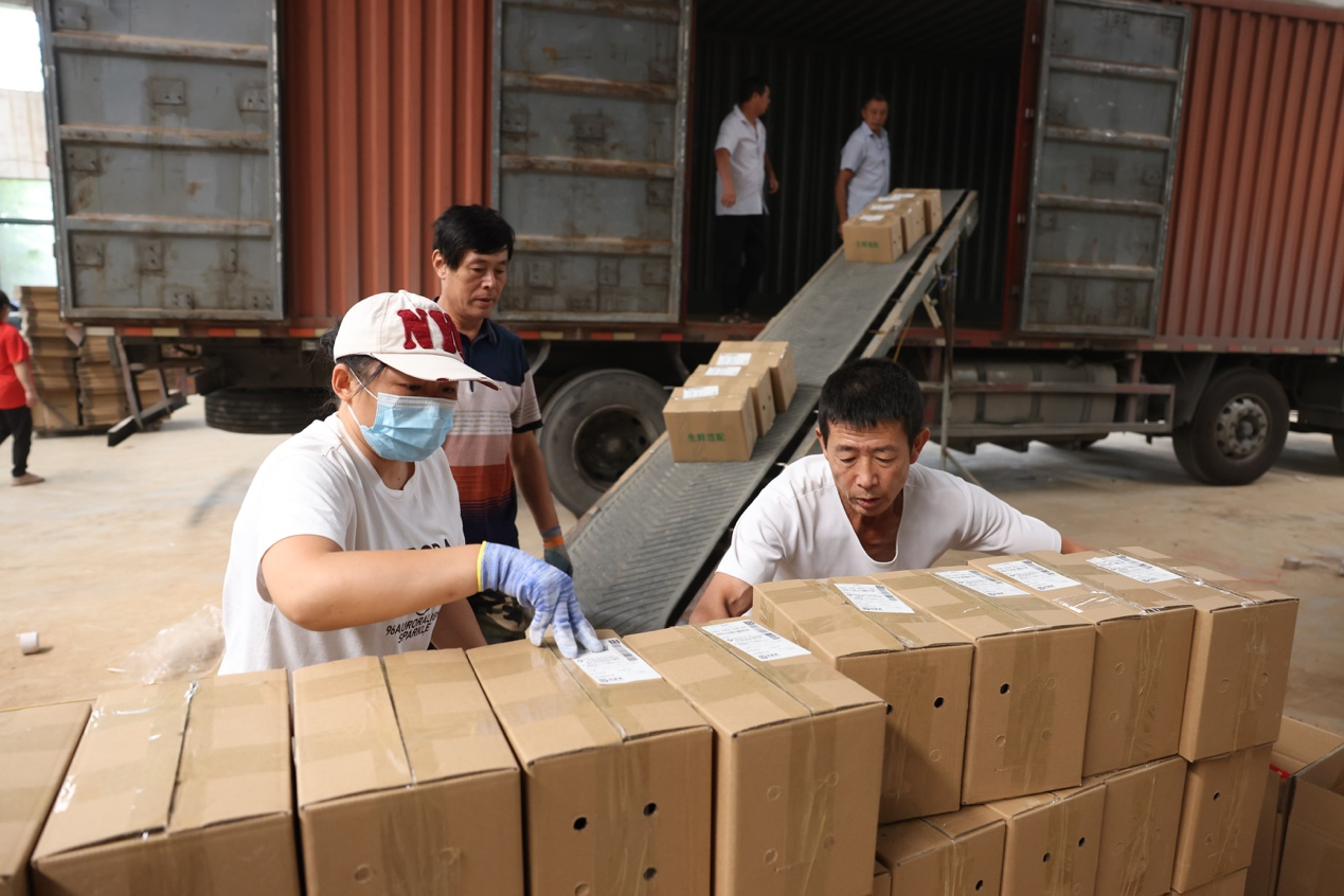 一年網(wǎng)銷過億元 湖北宜城薯農(nóng)與電商平臺(tái)“雙向奔赴” 一年網(wǎng)銷過億元 湖北宜城薯農(nóng)與電商平臺(tái)“雙向奔赴”