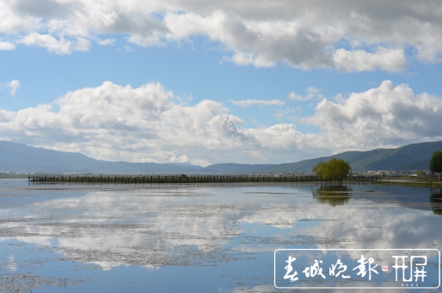 納帕海保護(hù)區(qū)：生態(tài)效益補償濕地面積增加1萬畝（孫琴霞 攝）