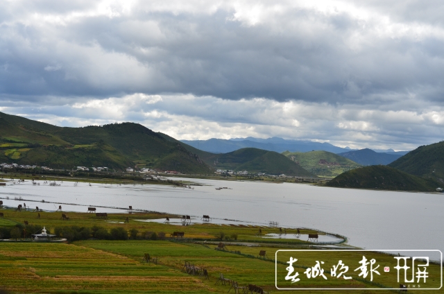 納帕海保護(hù)區(qū)：生態(tài)效益補償濕地面積增加1萬畝（孫琴霞 攝）