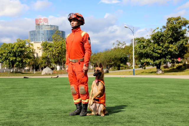 圖為訓(xùn)導(dǎo)員何錦標(biāo)和搜救犬奶酪在等待訓(xùn)練指令 陳勝瑤.JPG