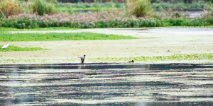 51741665695793241 51741665695793241