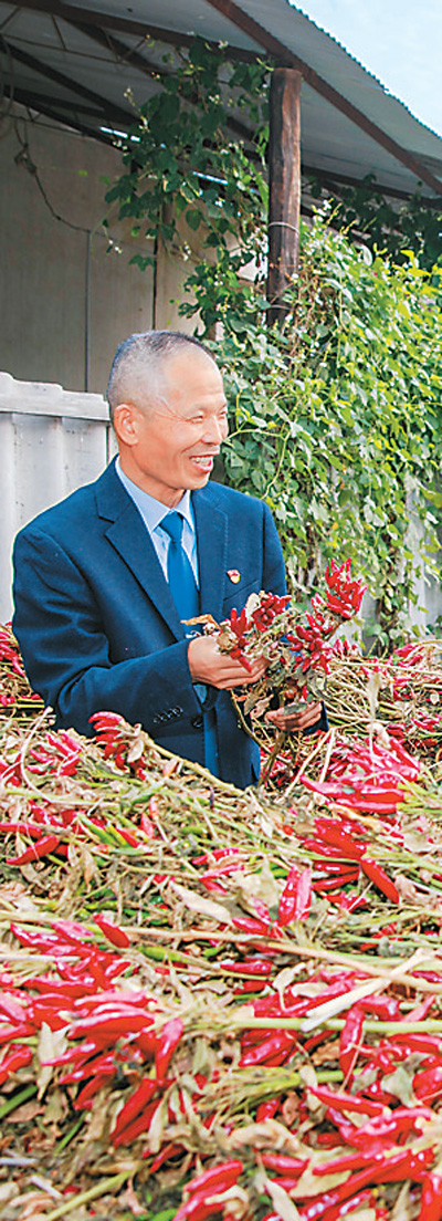 陳曉磐在了解秋收情況。楊 光攝