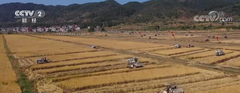 企業(yè)微信截圖_16659933822436