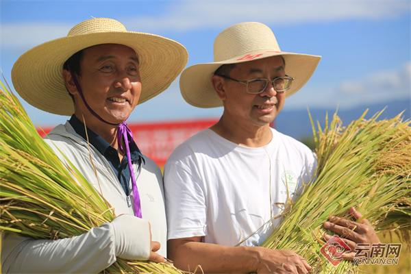 00305057300_25eeeefc