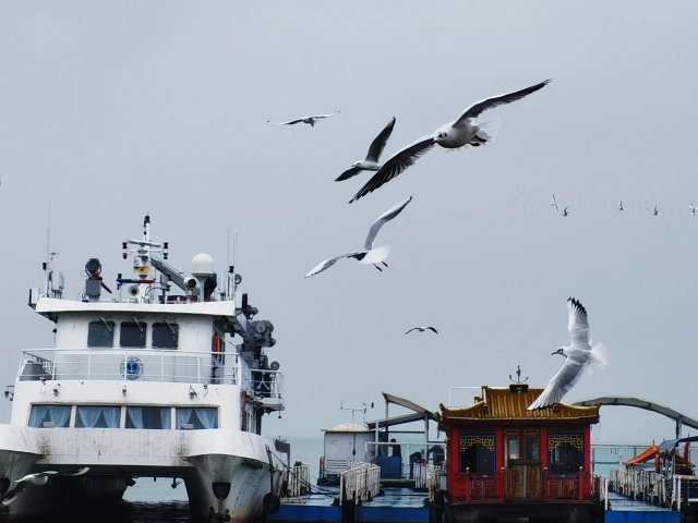 微信圖片_20221019105341 微信圖片_20221019105341