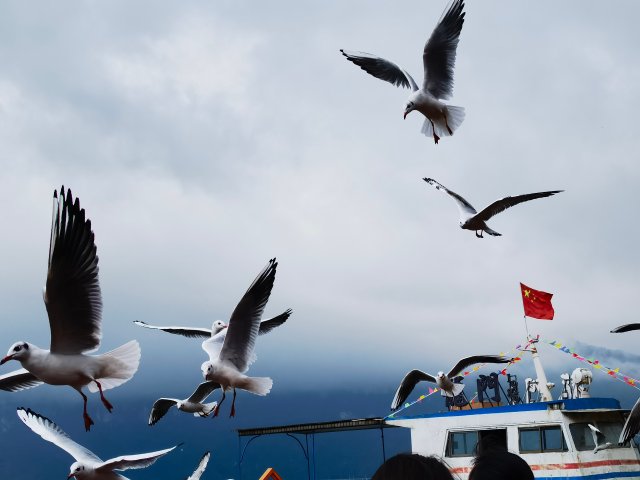 微信圖片_20221019105421 微信圖片_20221019105421