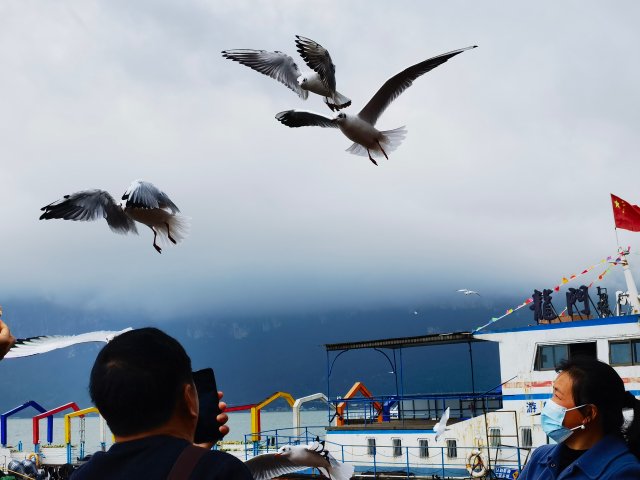 微信圖片_20221019105511 微信圖片_20221019105511