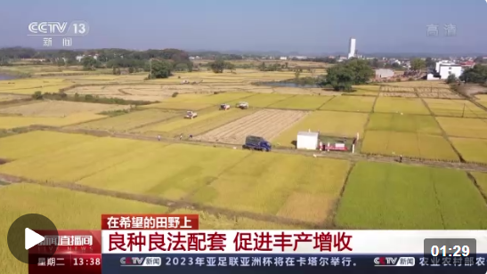 點擊觀看視頻 點擊觀看視頻